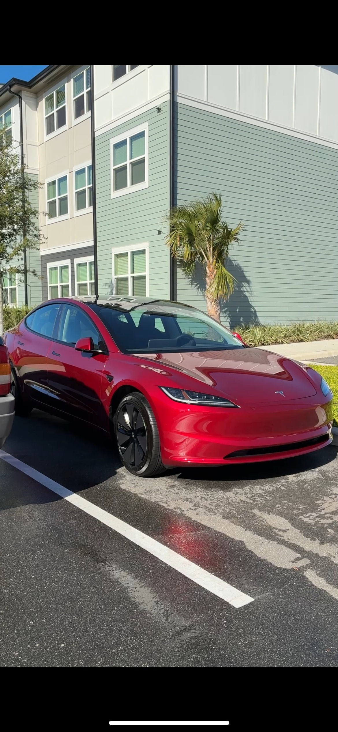 Professional ceramic coating - glossy protected paint finish